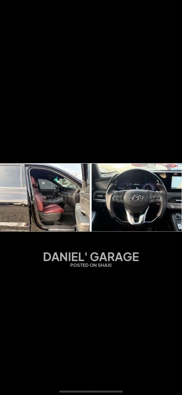Hyundai Palisade 2019 model photo 8
