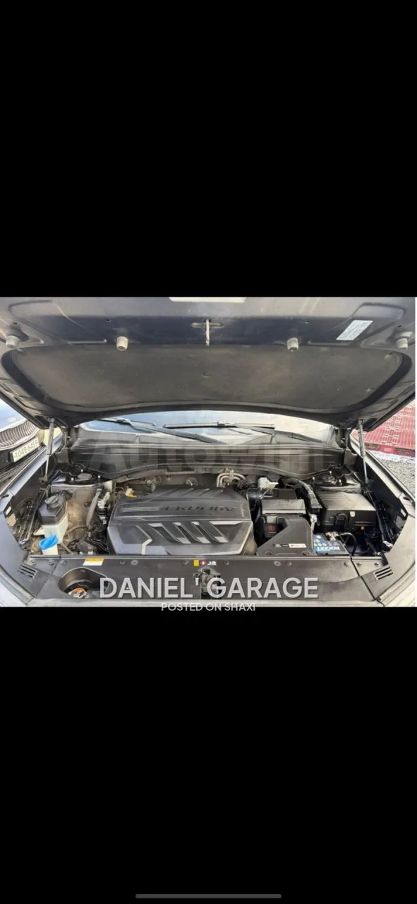 Hyundai Palisade 2019 model photo 5