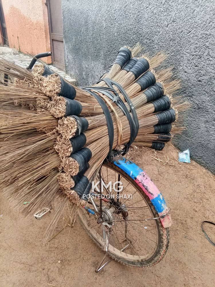 Standing broom 🧹 photo 2