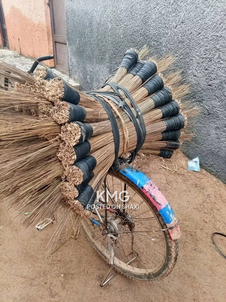 Standing broom 🧹 photo 2