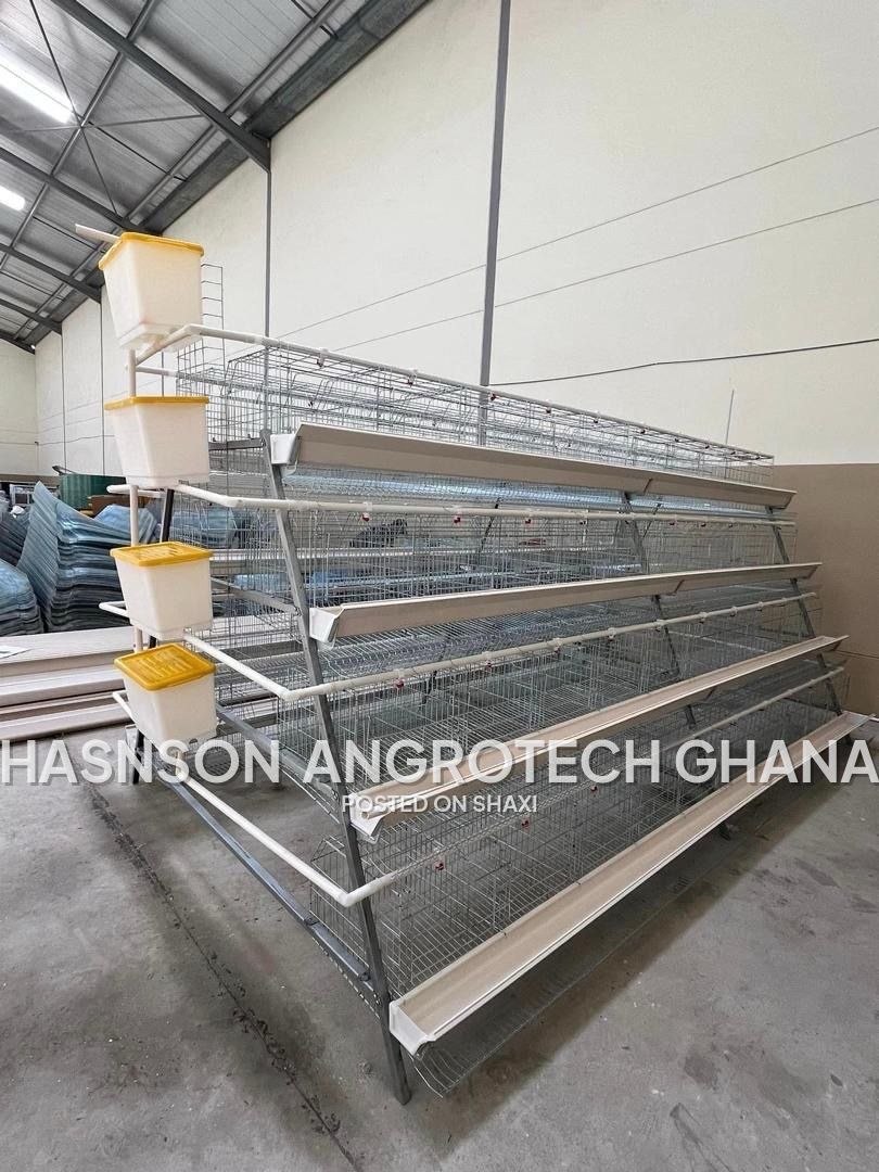 battery cage (chicken cage ) photo 3