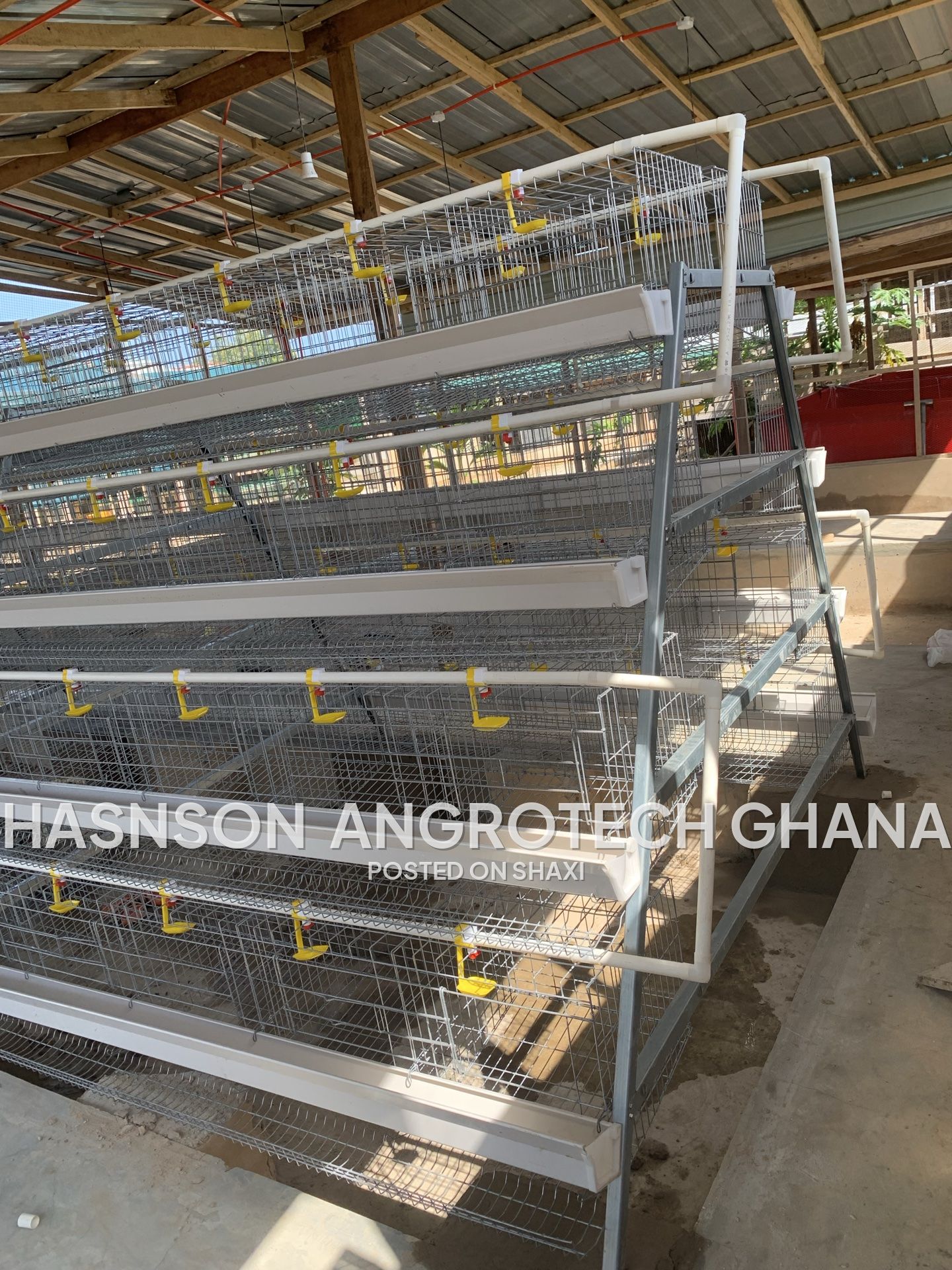 battery cage (chicken cage ) photo 1