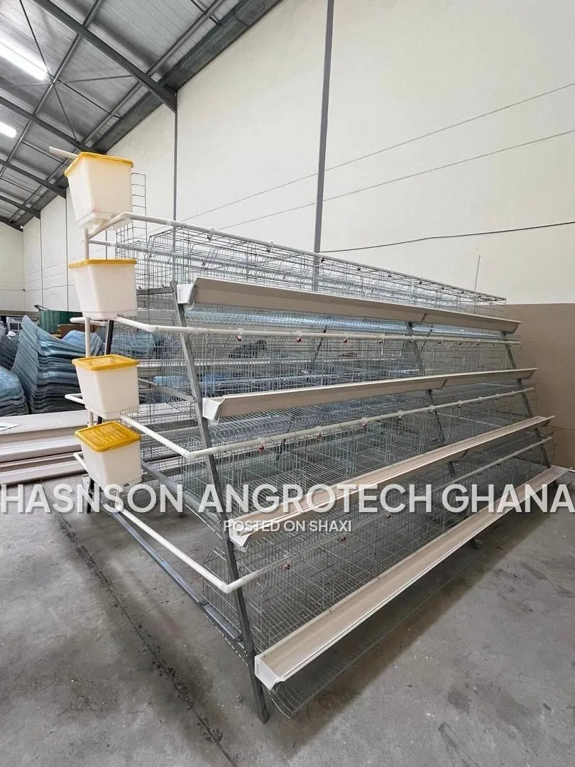 battery cage (chicken cage ) photo 3