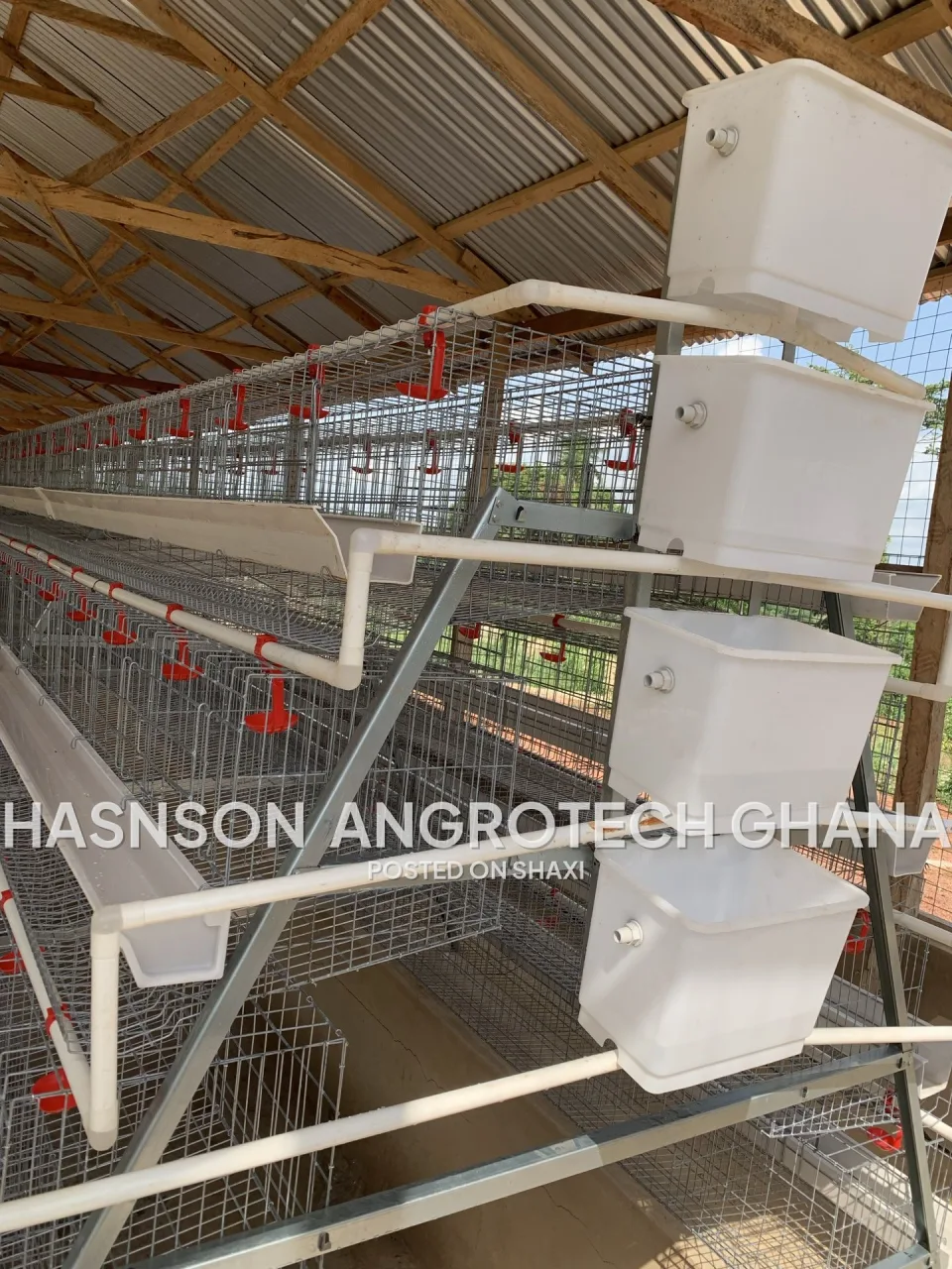 battery cage (chicken cage ) photo 2