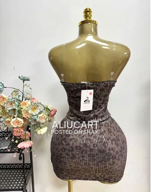 Yolanda Leopard Sequin Women’s Bodycon Party Dress – Elegant Fashion Dress photo 2