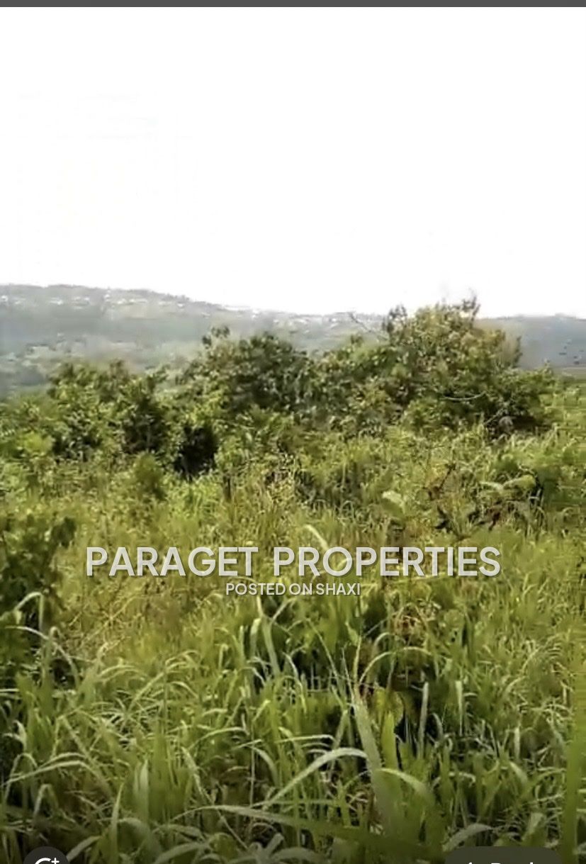 Registered 40 Acres Mountain top land around Safari Valley Eco Park-Adukrom, Eastern Region photo 3