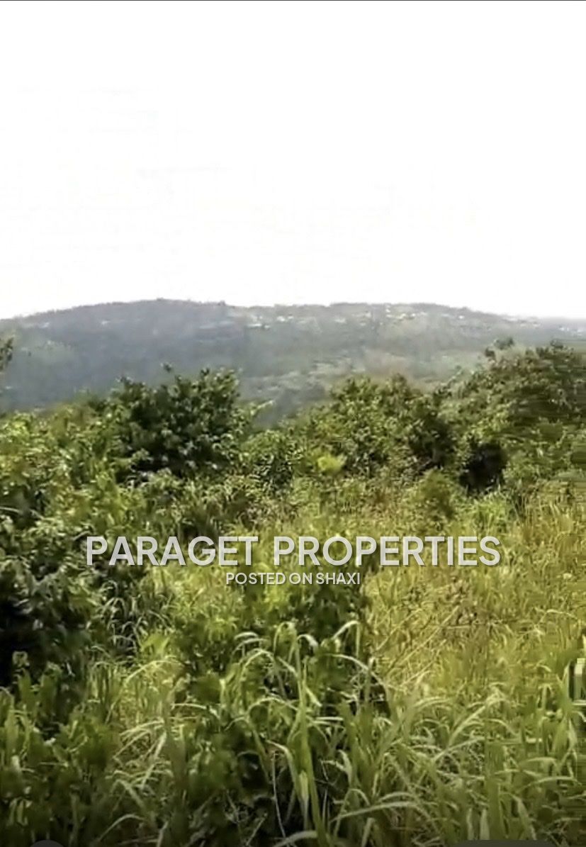 Registered 40 Acres Mountain top land around Safari Valley Eco Park-Adukrom, Eastern Region photo 2