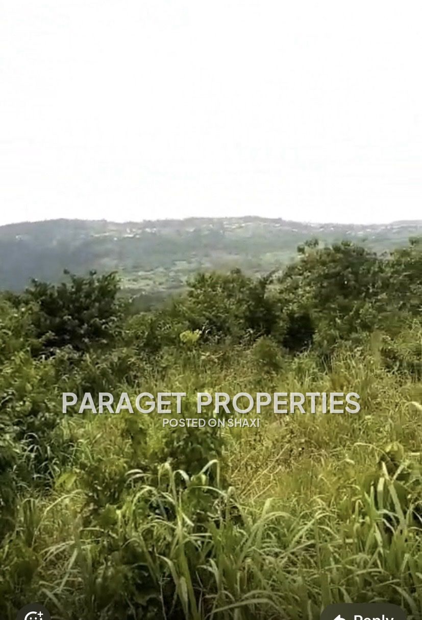 Registered 40 Acres Mountain top land around Safari Valley Eco Park-Adukrom, Eastern Region photo 1