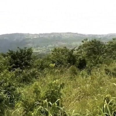 Registered 40 Acres Mountain top land around Safari Valley Eco Park-Adukrom, Eastern Region
