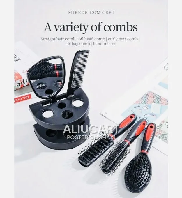 5-in-1 Hair Brush & Comb Set with Mirror and Storage Stand photo 6