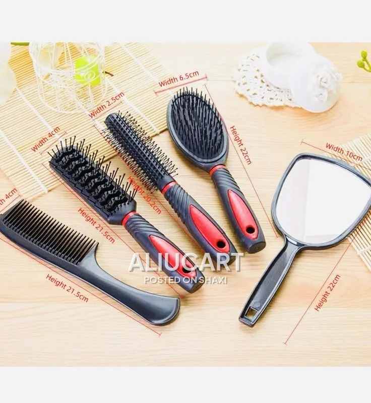 5-in-1 Hair Brush & Comb Set with Mirror and Storage Stand photo 3