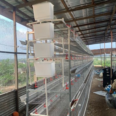H type Battery cage