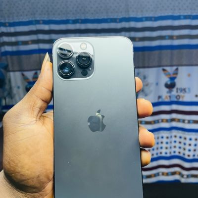 IPhone 13 Pro Max 256 Grey