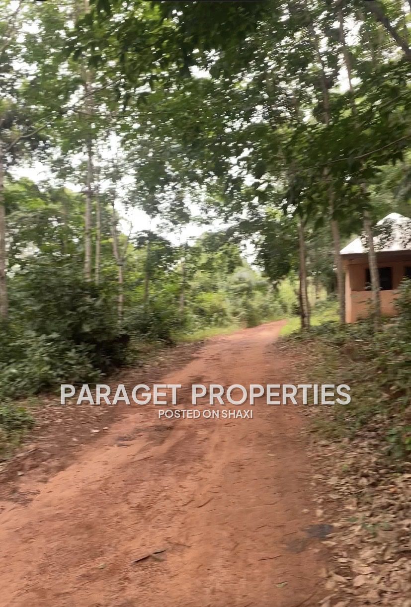 Registered 6 Plots just around Safari Valley Eco Park-Adukrom, Eastern Region photo 3