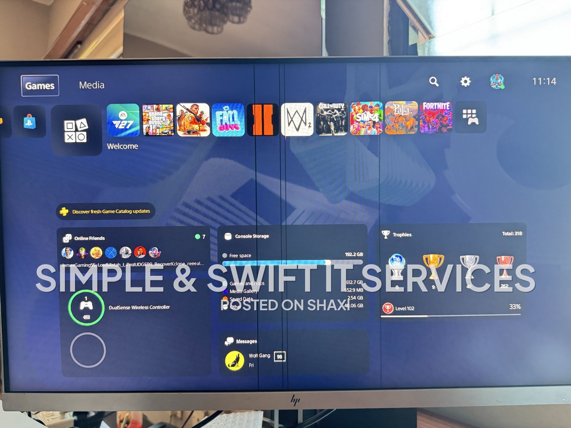 HP E273 Monitor with Lines on the screen photo 1