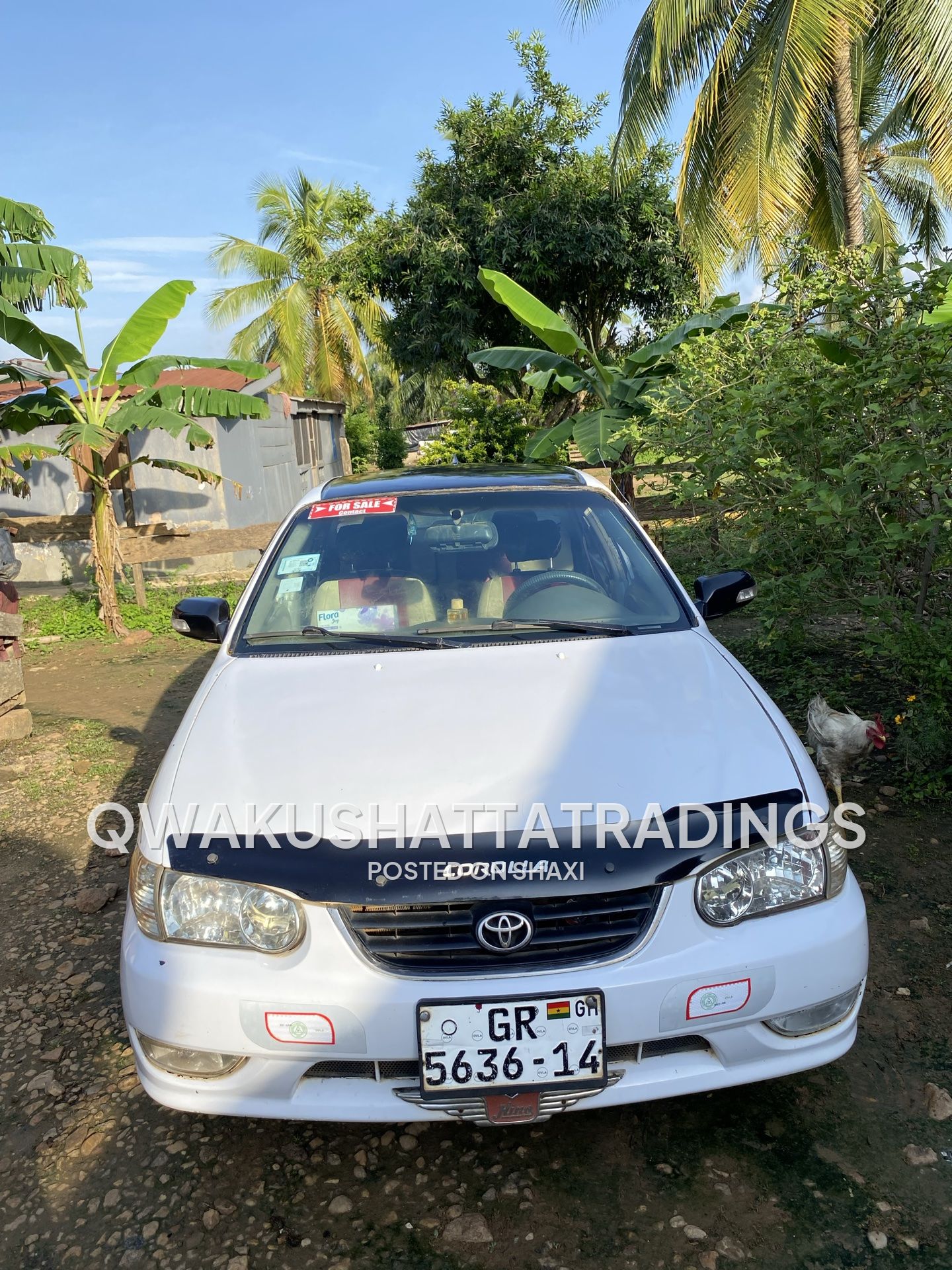 Toyota Corolla photo 1