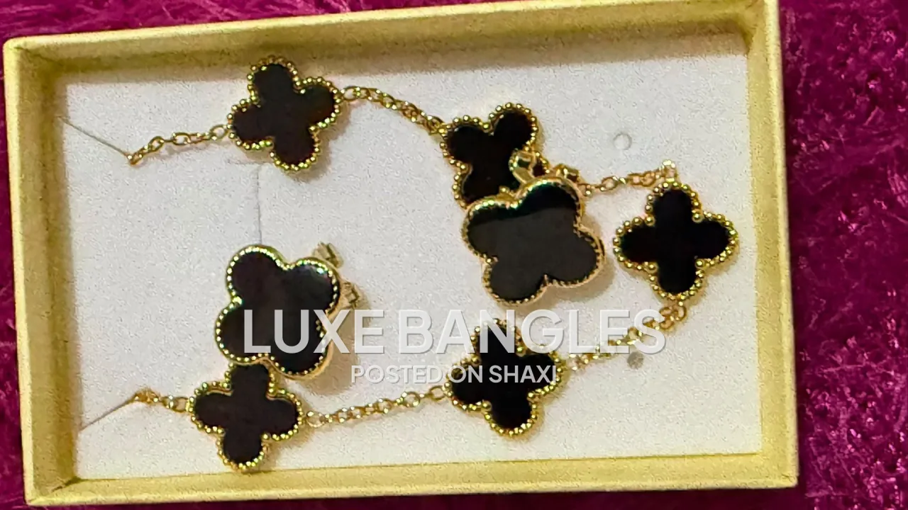 Lady's bangles, bracelet and earrings photo 5