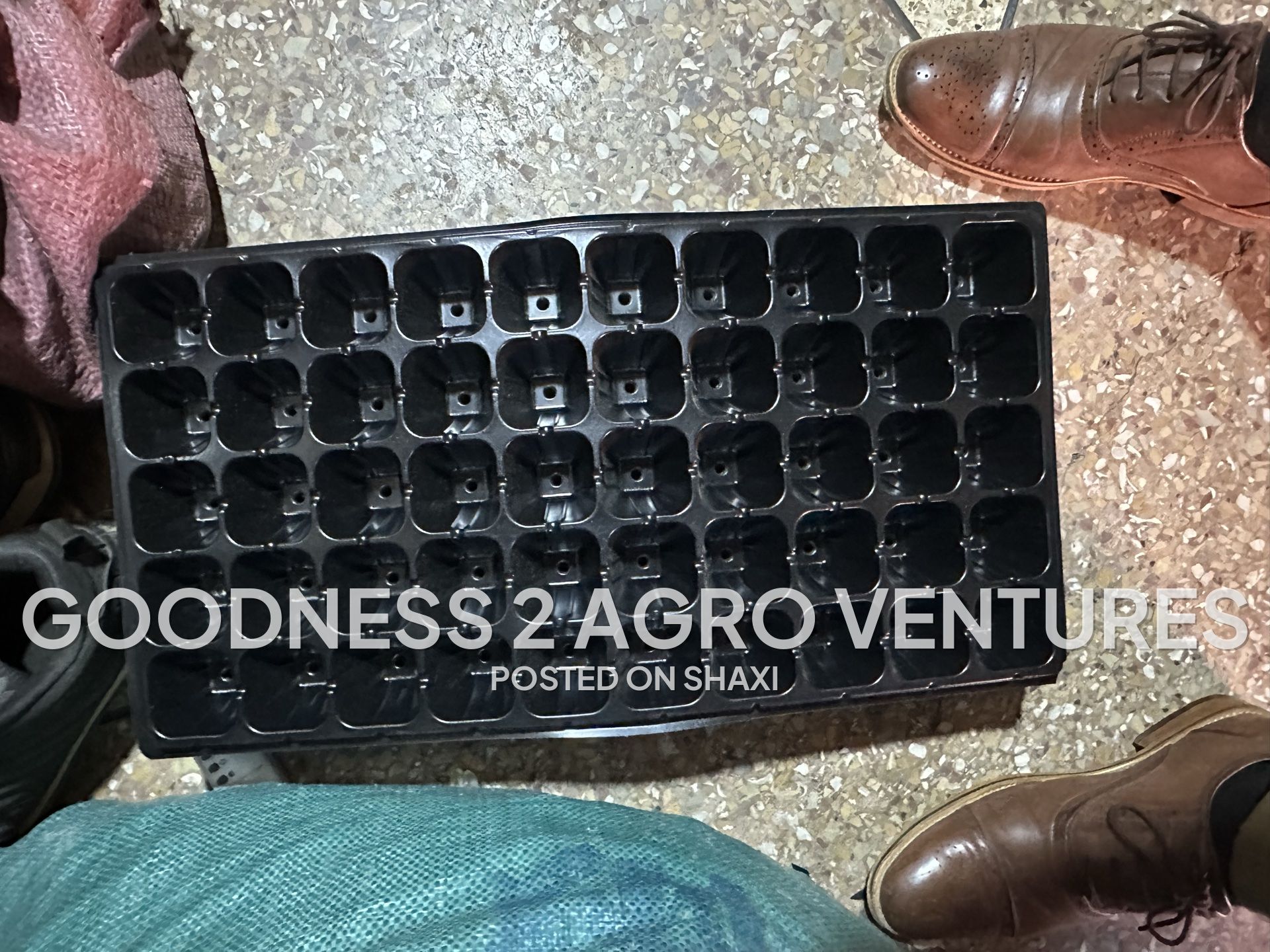 Seed trays photo 4