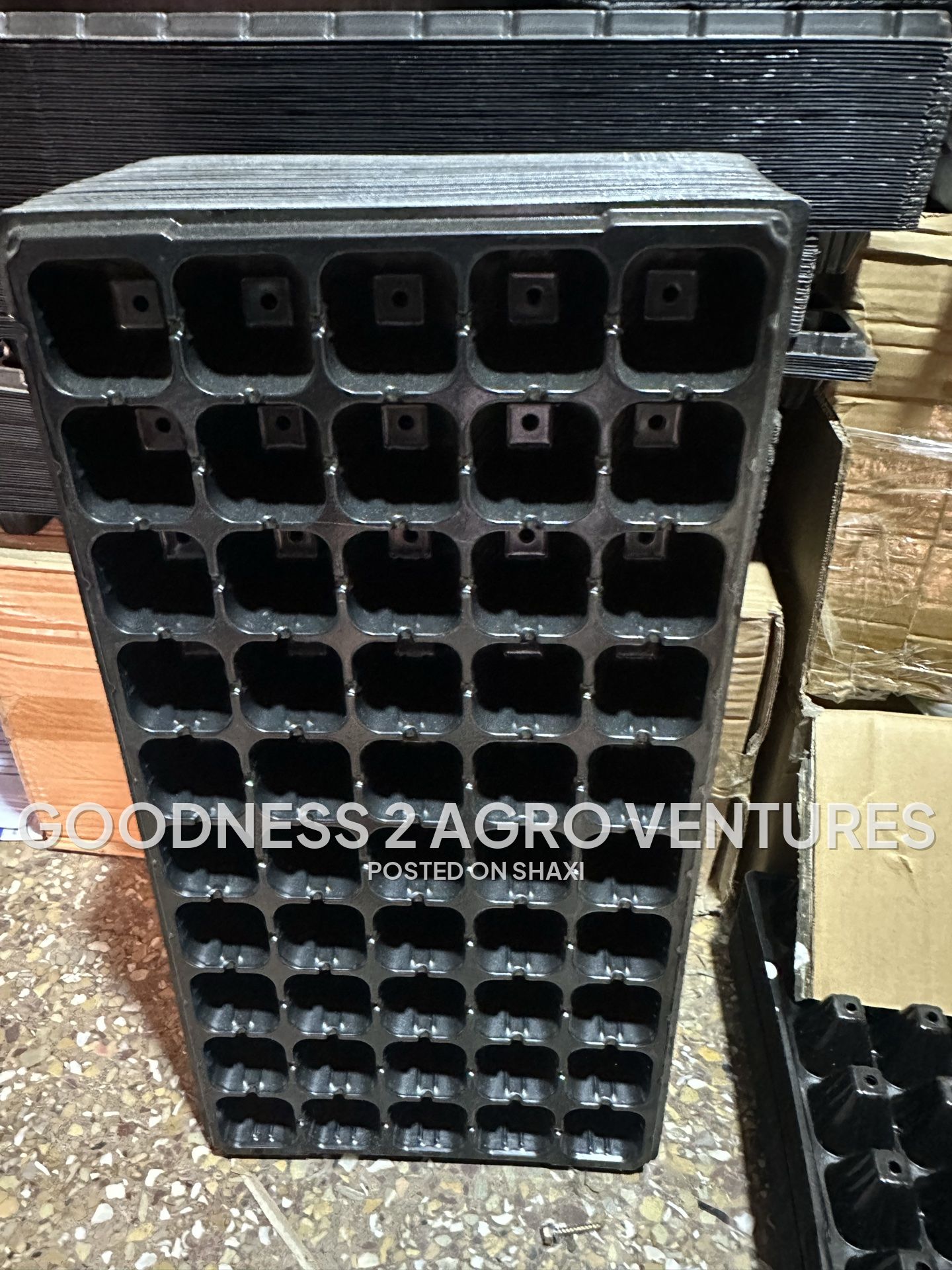 Seed trays photo 1