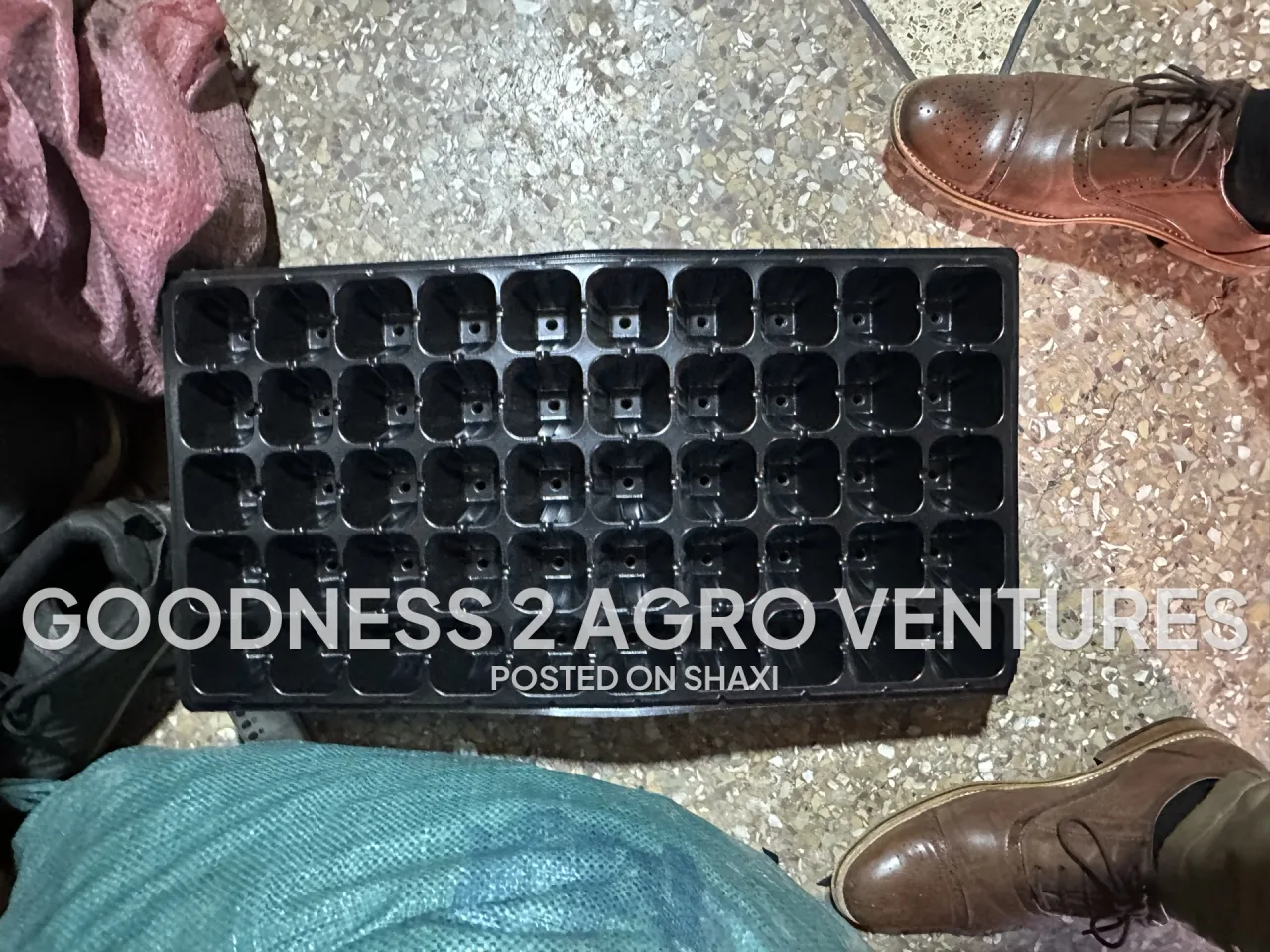 Seed trays photo 3