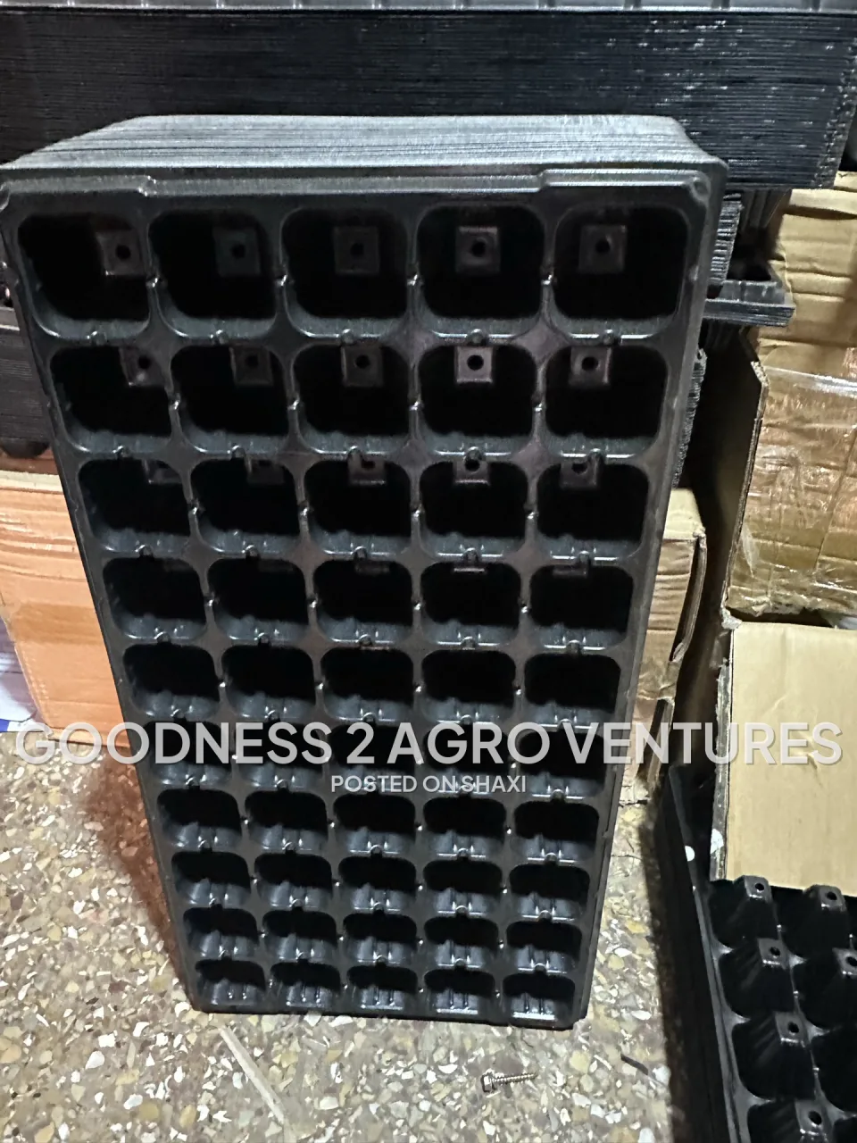 Seed trays photo 2