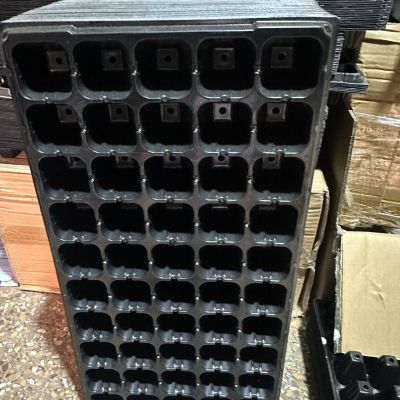 Seed trays